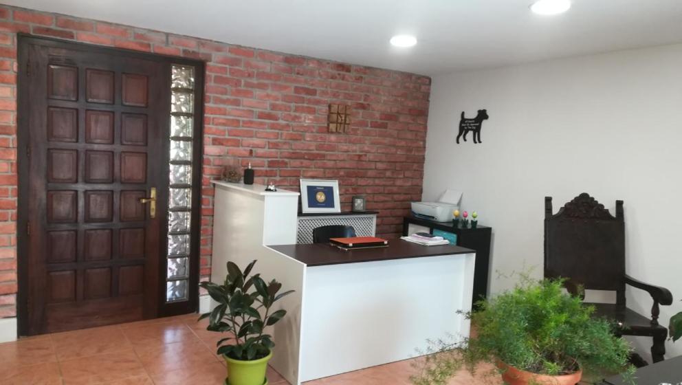 Casa Carolina Daire Teo Dış mekan fotoğraf